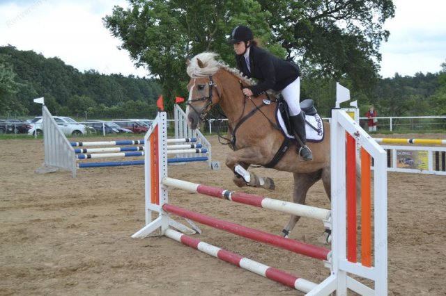 reitertag 2013 79